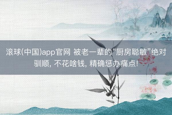 滚球(中国)app官网 被老一辈的“厨房聪敏”绝对驯顺, 不